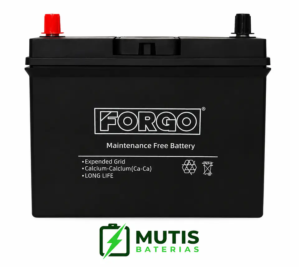 Bateria 12v 45ah 440cca 55b24r Positivo Izquierdo Forgo 2