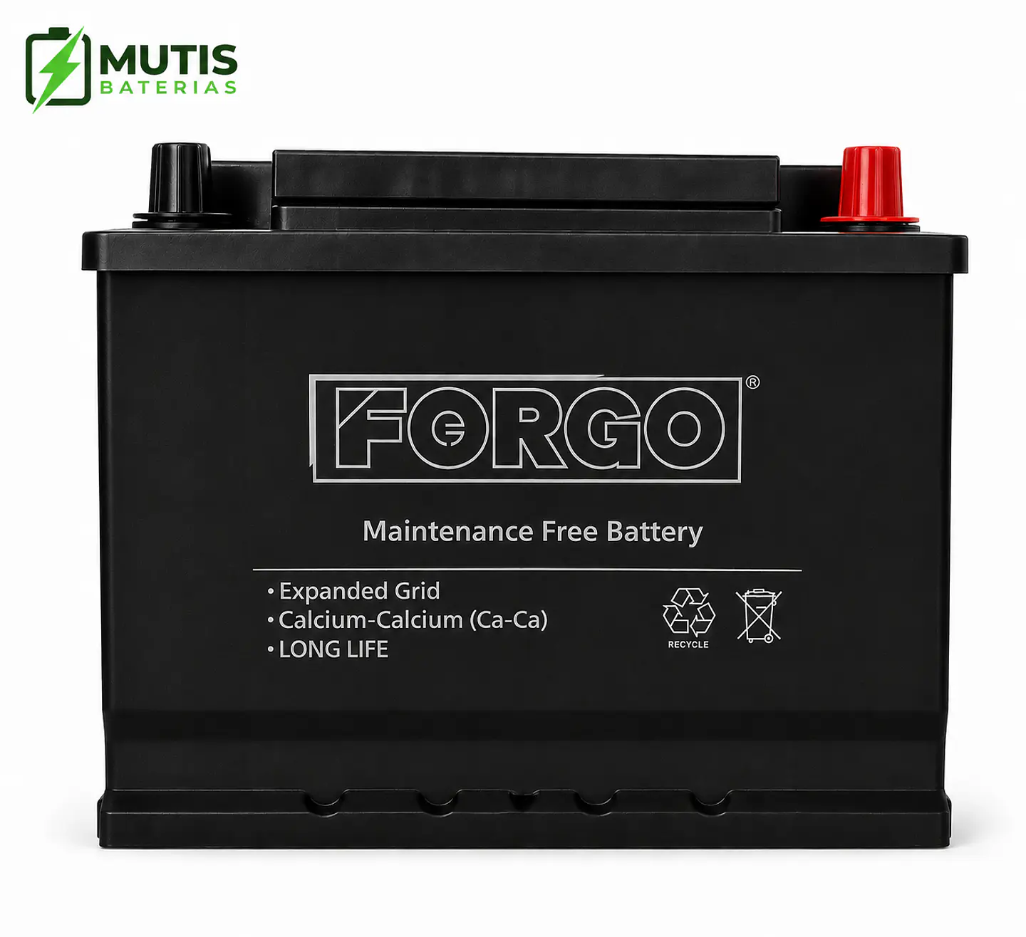 Batería Auto 12v 60ah 500cca 56044 Positivo Derecho Forgo 2