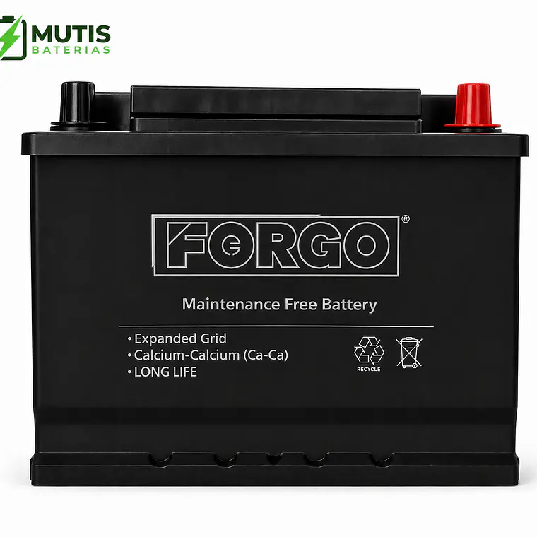 Batería Auto 12v 60ah 500cca 56044 Positivo Derecho Forgo 2