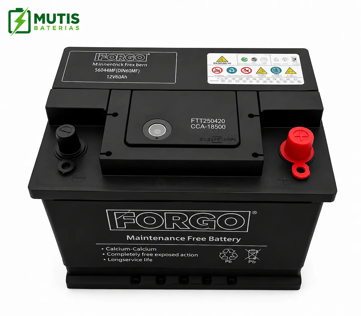Batería Auto 12v 60ah 500cca 56044 Positivo Derecho Forgo 3