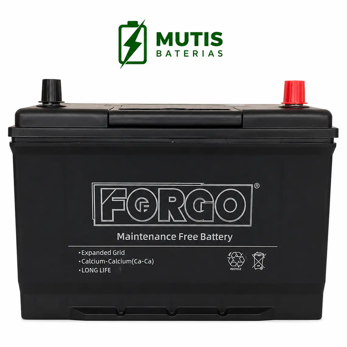 Batería 12v 90ah 650cca 105d31l Positivo Derecho 3