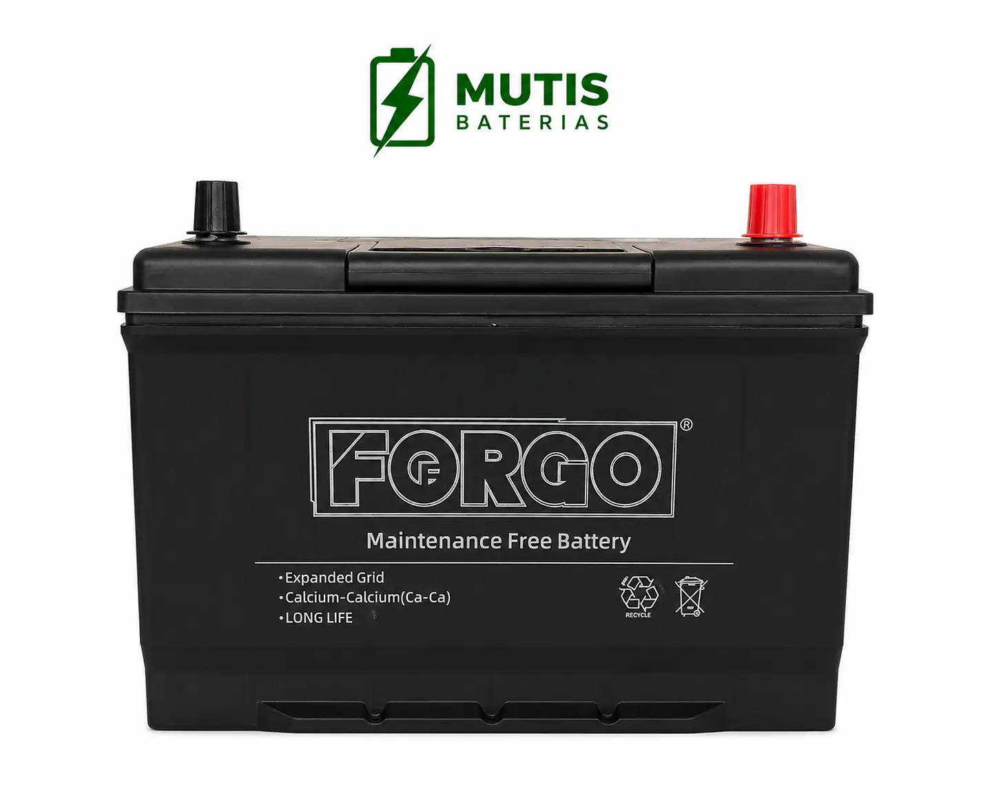 Batería 12v 90ah 650cca 105d31l Positivo Derecho 3