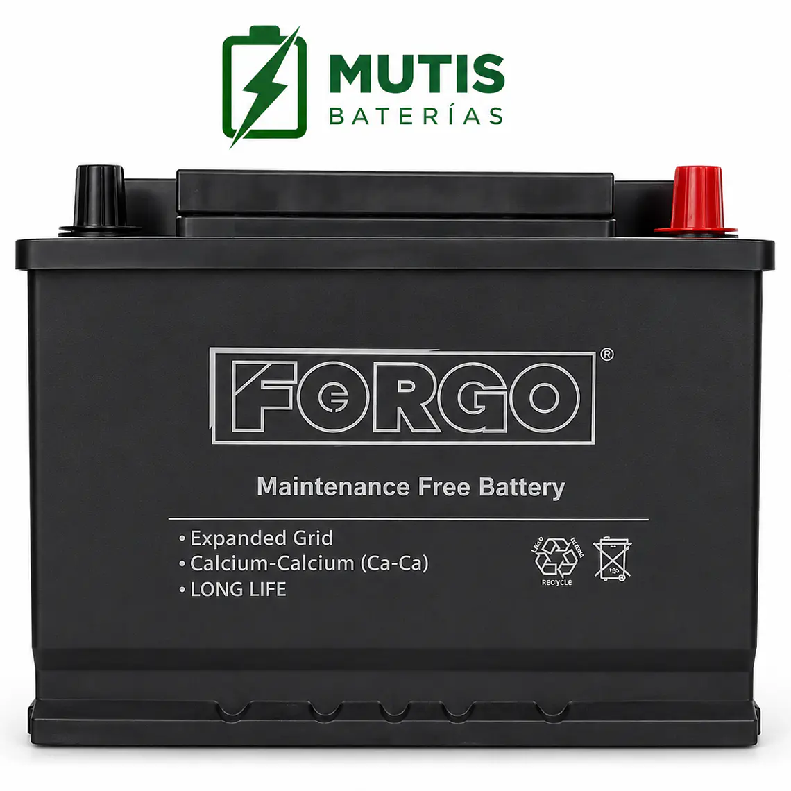 Bateria Auto 12v 66ah 500cca Positivo Derecho Forgo 3