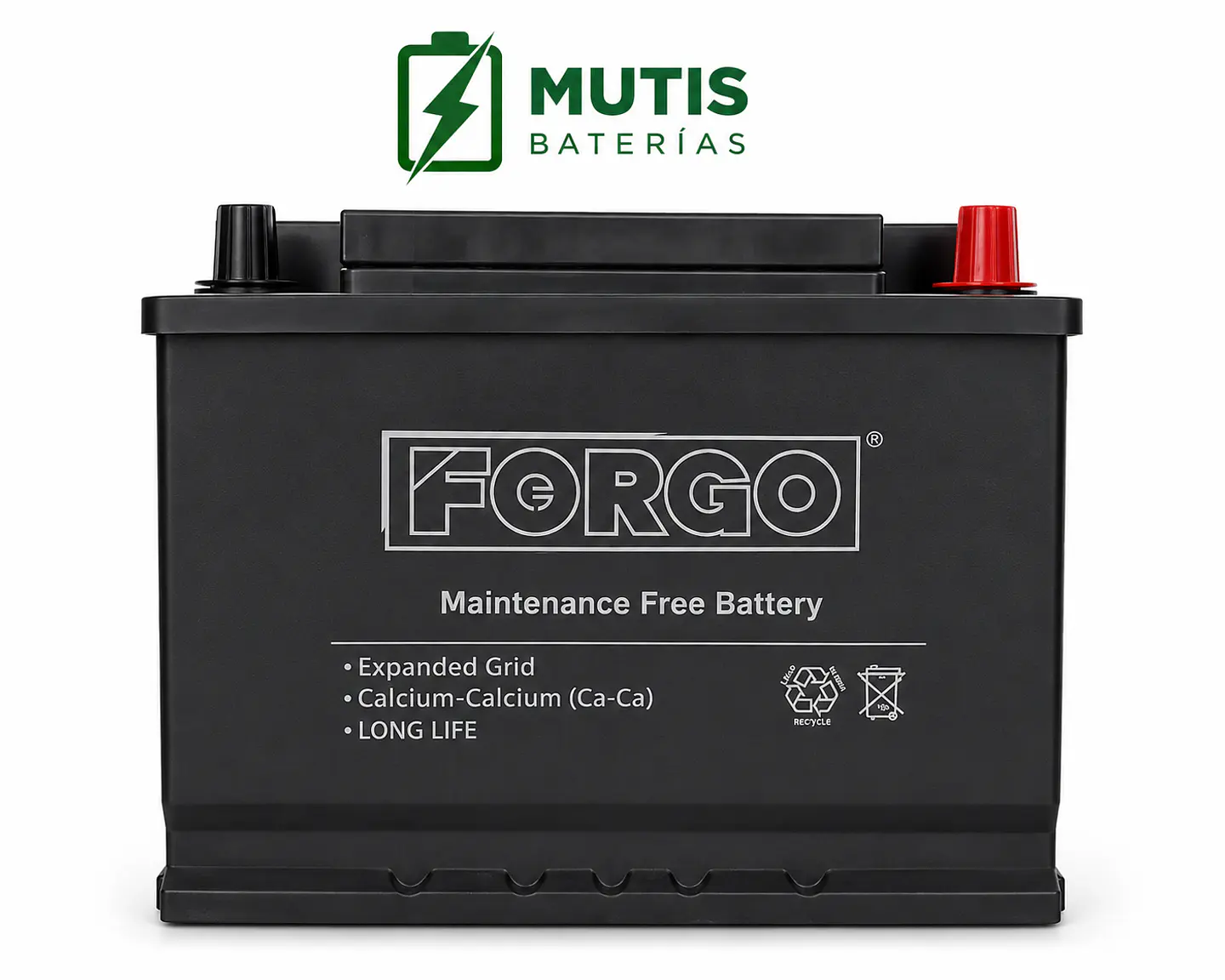 Bateria Auto 12v 66ah 500cca Positivo Derecho Forgo 3