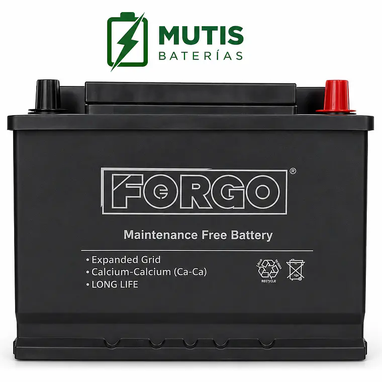 Bateria Auto 12v 66ah 500cca Positivo Derecho Forgo 3