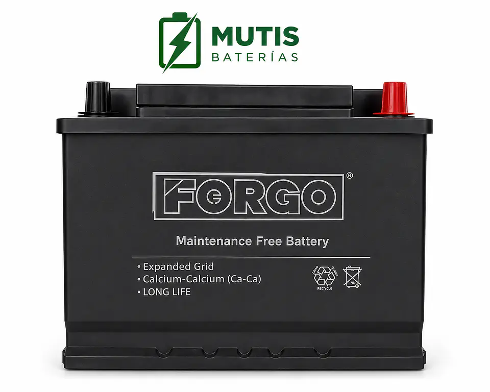 Bateria Auto 12v 66ah 500cca Positivo Derecho Forgo 3