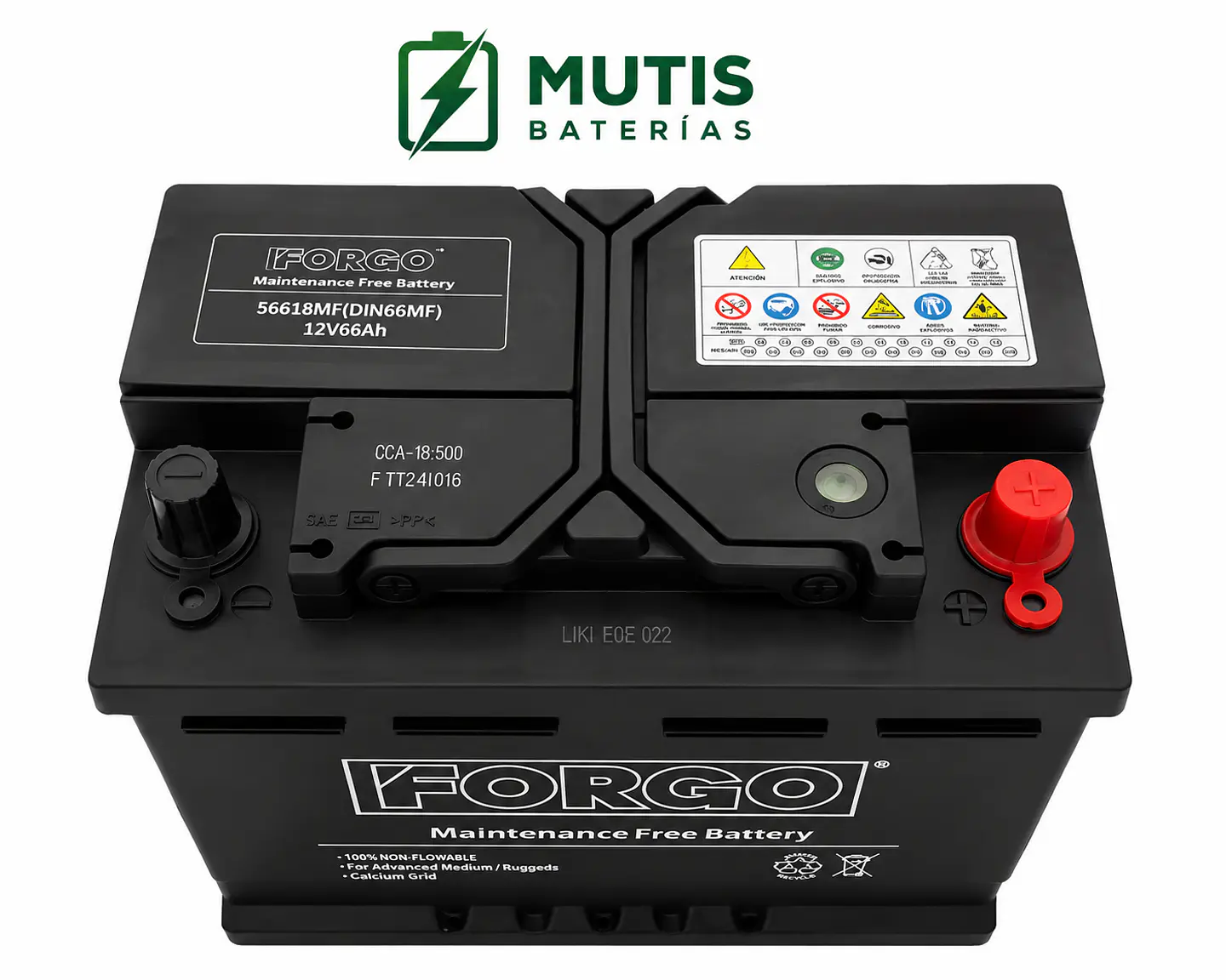 Bateria Auto 12v 66ah 500cca Positivo Derecho Forgo 2