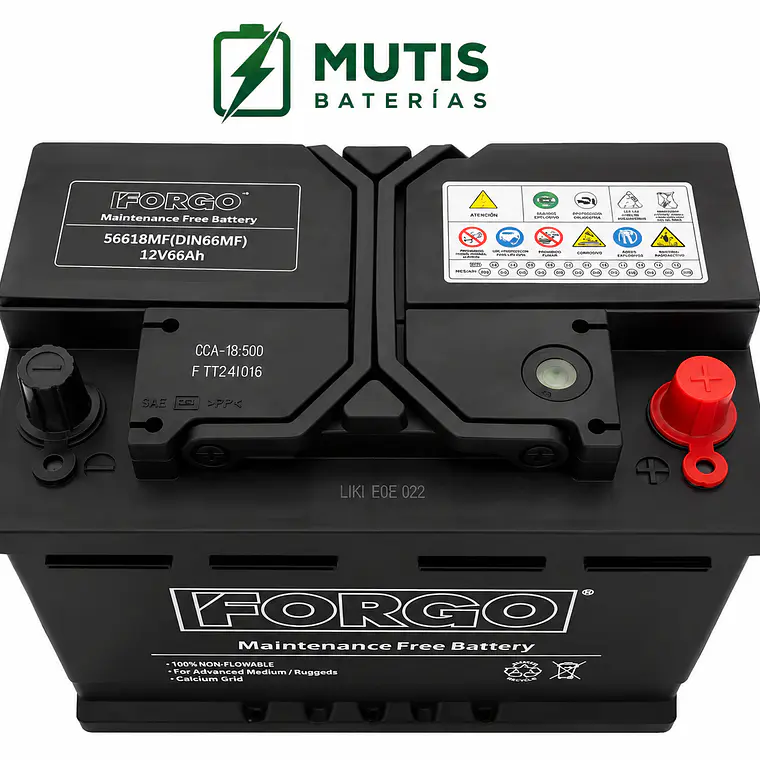 Bateria Auto 12v 66ah 500cca Positivo Derecho Forgo 2