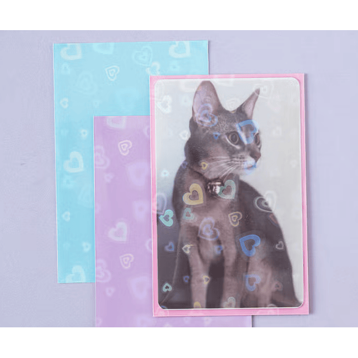 SET DE SLEEVES HOLO DE CORAZONES 3