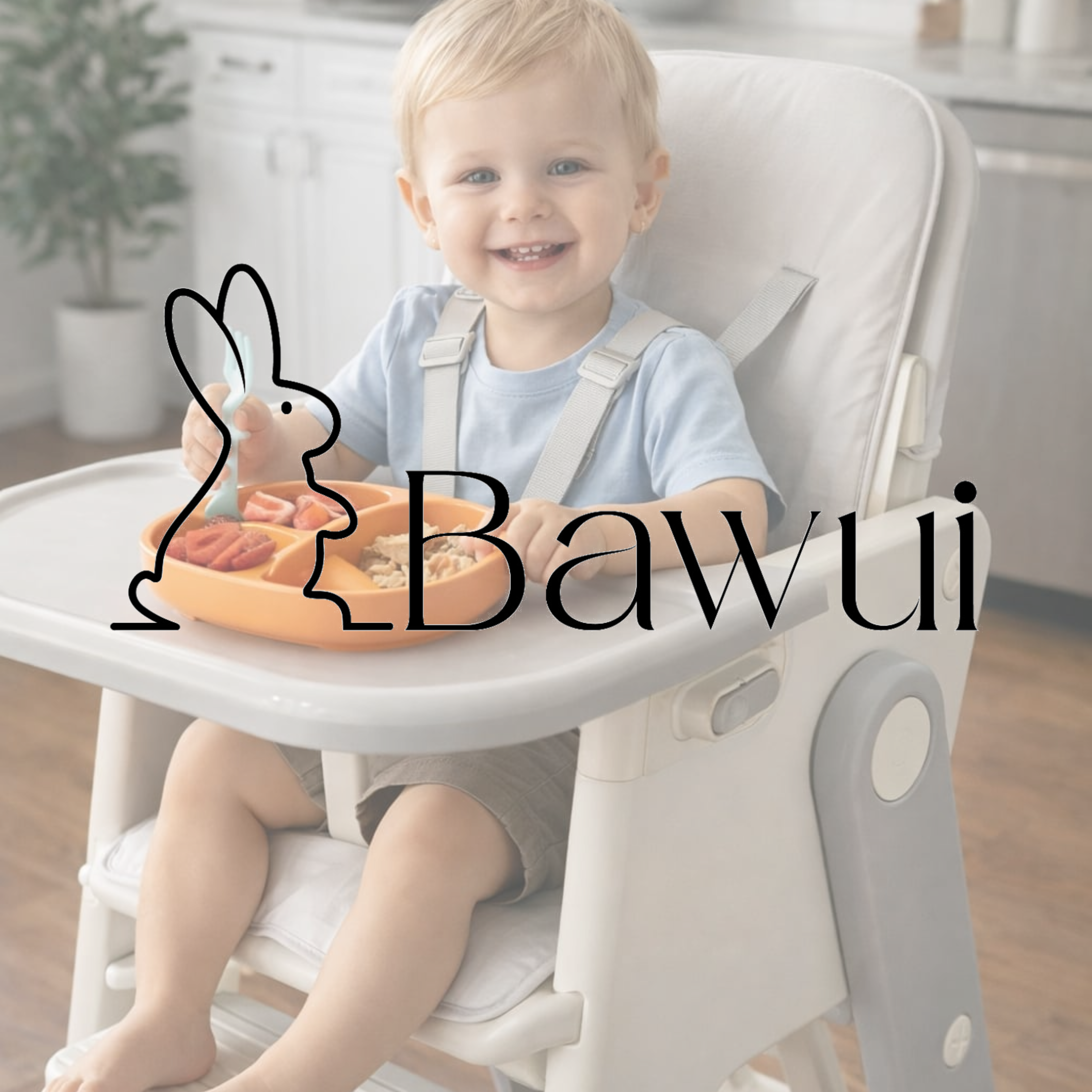 Sillas Tradicionales