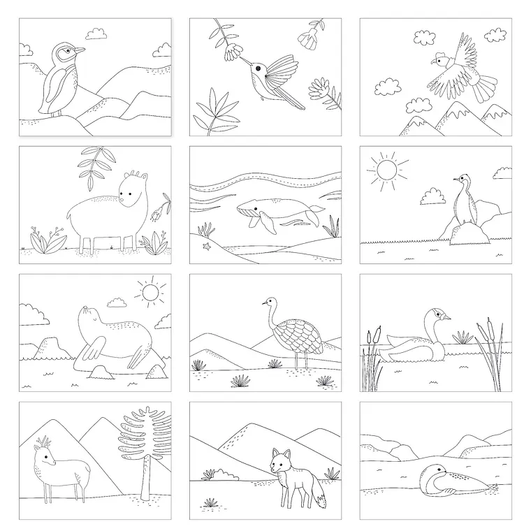Animales chilenos para pintar 5