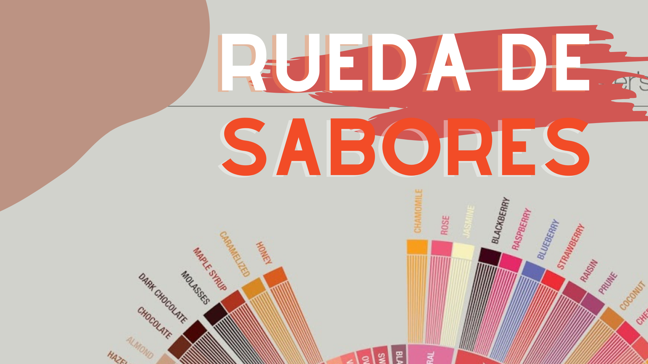 Rueda de sabores