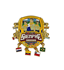 Pin VI campori sudamericano banderas colgando