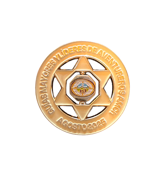 Pin GM y líder investido AMCH