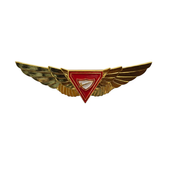 Pin conquistador alas 