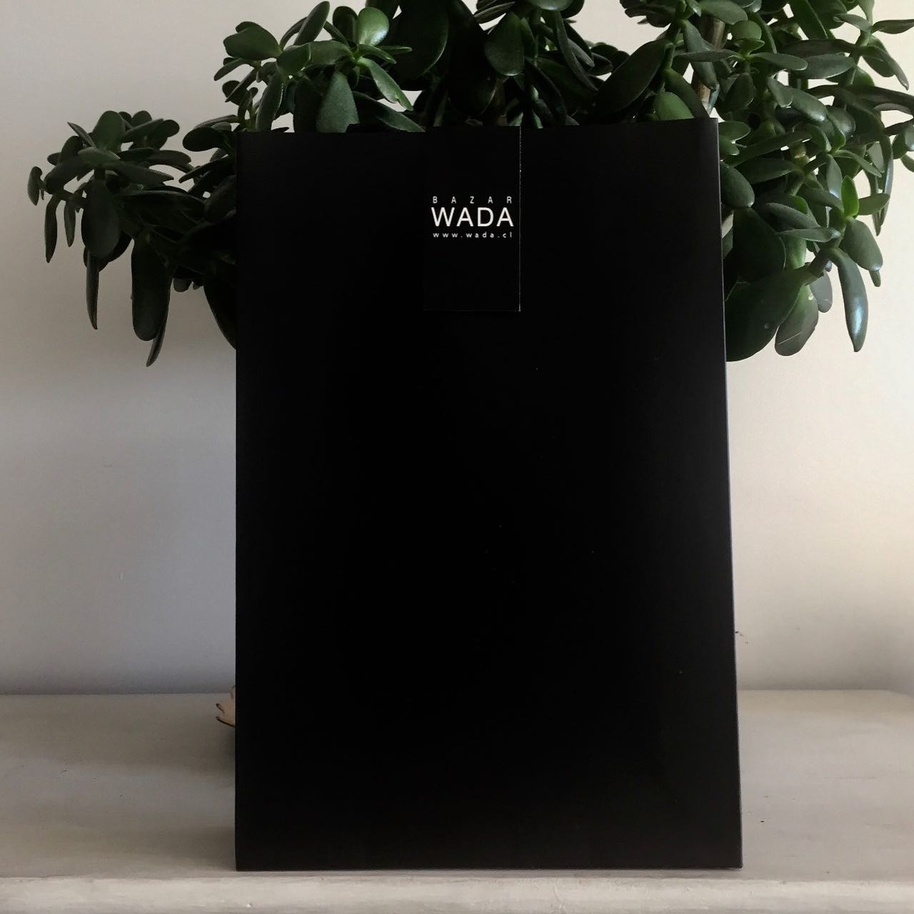 BOLSA PARA REGALO WADA