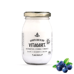 Vitagurt 200g en base a coco – Sabor Maqui-Berries