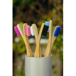 Cepillo dental ecológico 