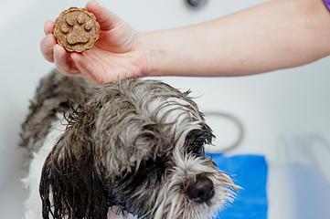 CHAMPÚ SÓLIDO PARA PERRO CALENDULA