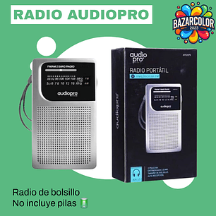 Radio FM-AM AUDIOPRO 