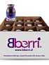 Bberri原榨混合果汁 （12瓶/箱）