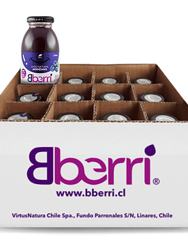 原榨藍莓汁 （12瓶/箱）批發