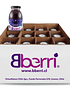 原榨藍莓汁 （12瓶/箱）批發