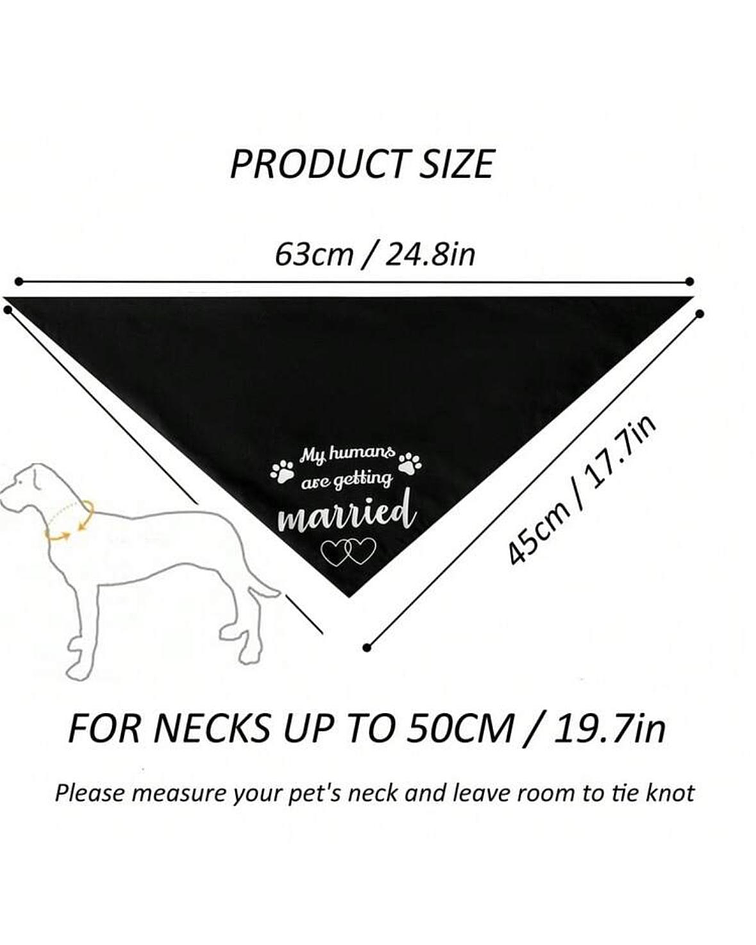 Bandana perro "dog of honor" blanco