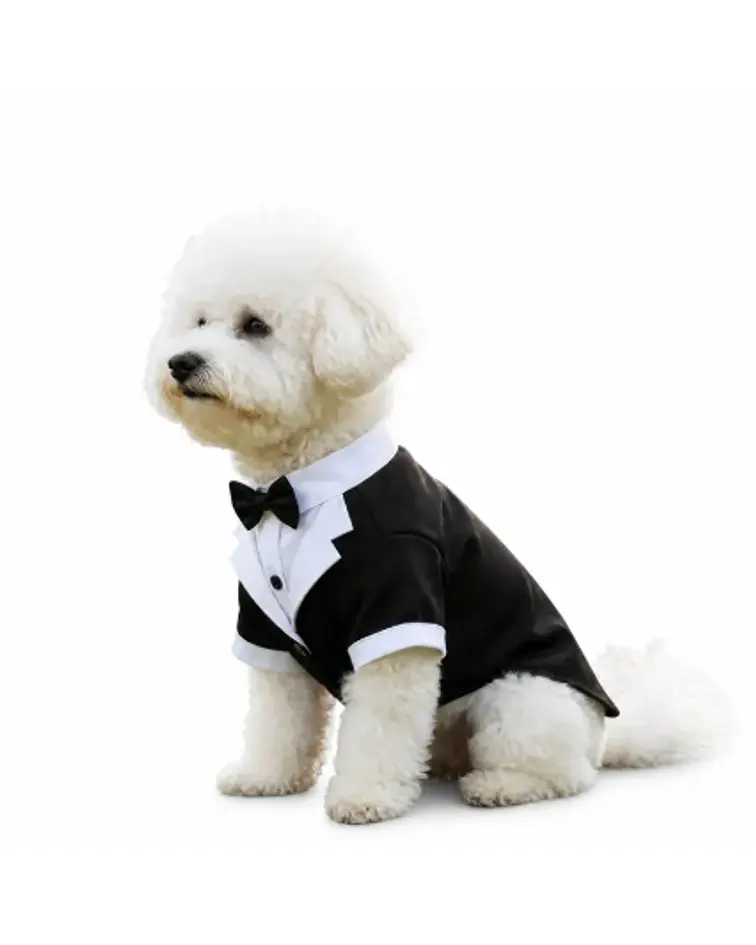 Traje formal para mascotas pequeñas