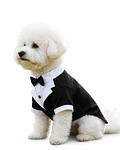 Traje formal para mascotas pequeñas