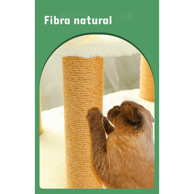 Rascador Cama Blanco Para Gato