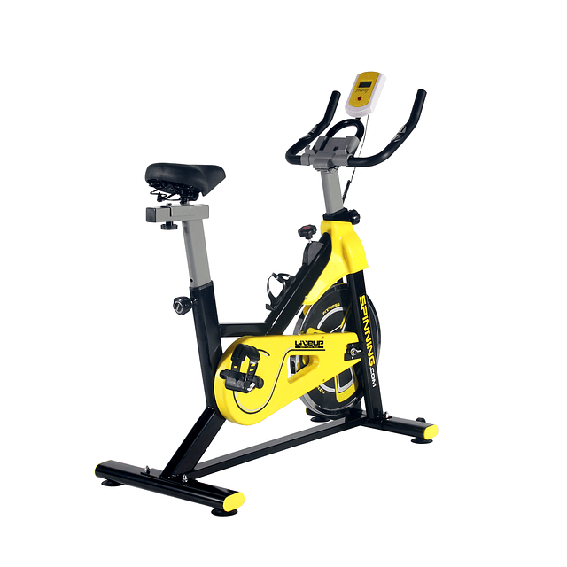 Spinning Intensity Yellow 6 Kg