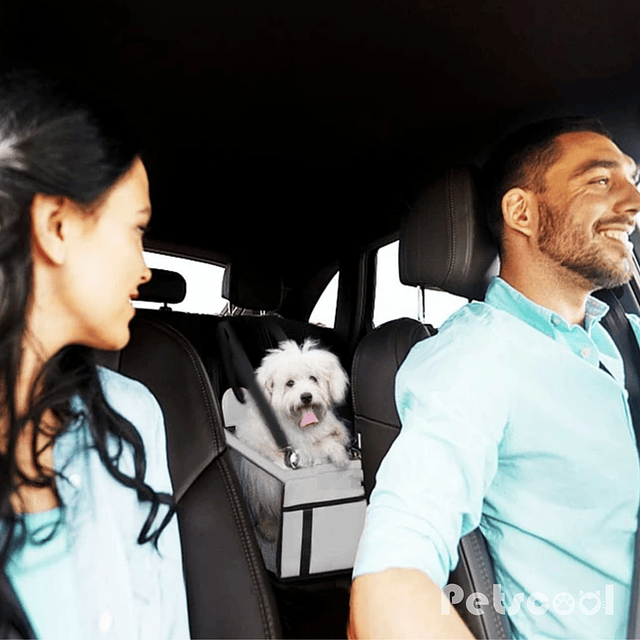 Silla De Auto Gris Para Mascota