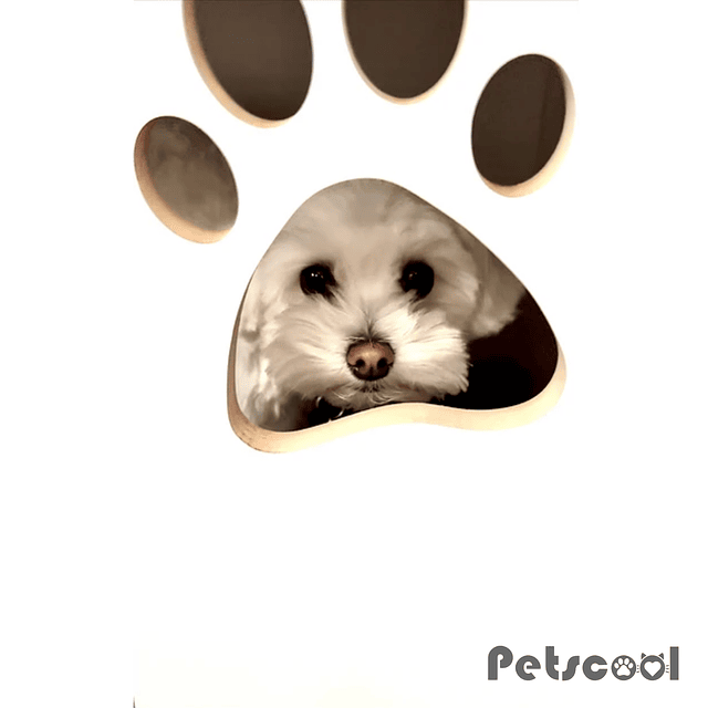 Velador Blanco Pet Para Perro Con Cojín