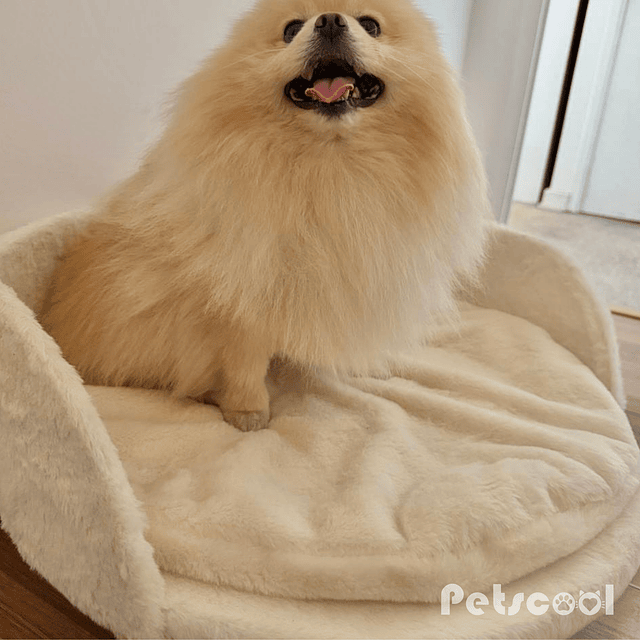 Cama Premiun Beige Para Mascotas