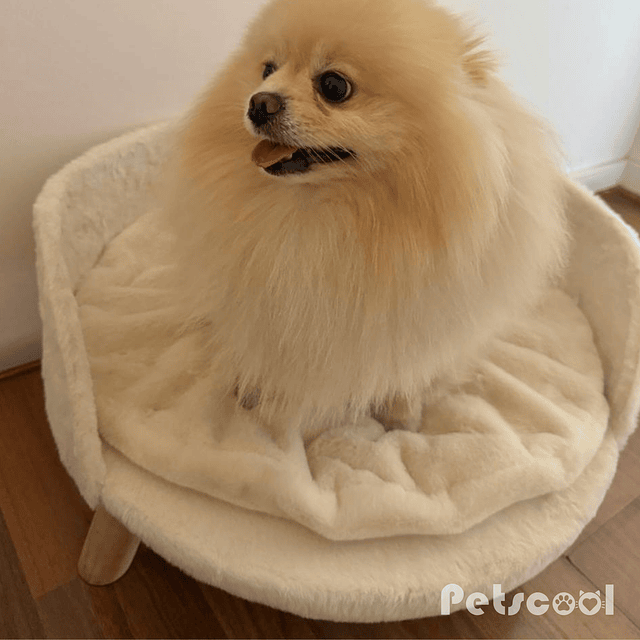 Cama Premiun Beige Para Mascotas