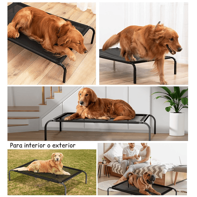 Cama Elevada Perros Grandes PetsCool Talla L Soporta 40kg