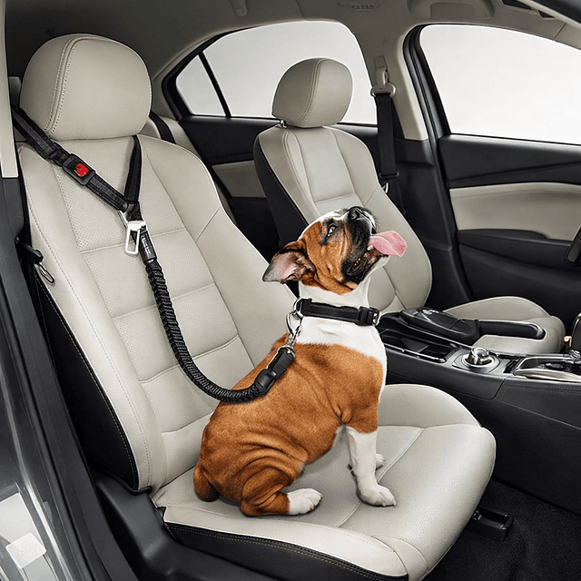 Cinturón de Seguridad Perro Multi Tamaño Petscool Elástico Reflectante 4 en 1