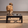 Comedero Elevado Ajustable PetsCool 5 Alturas Plato Anti-voracidad