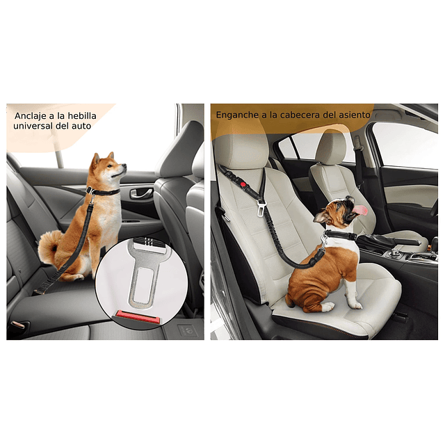 Cinturón de Seguridad Perro Multi Tamaño Petscool Elástico Reflectante 4 en 1