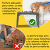 Comedero Elevado Ajustable PetsCool 5 Alturas Plato Anti-voracidad