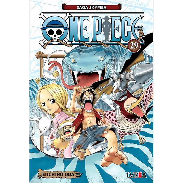 One Piece 29