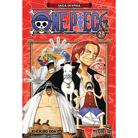 One Piece 25