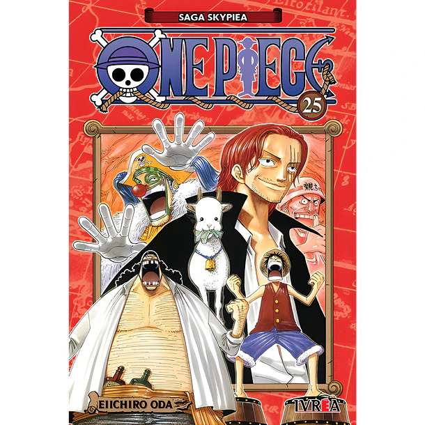 One Piece 25