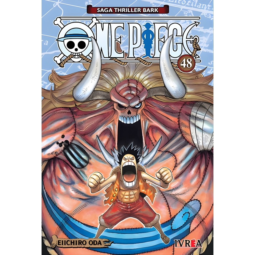 One Piece 48