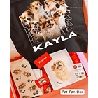 Pet Fan Box (Kit Mascotas Personalizado) 1