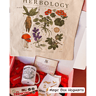 Fandom Box: Magic Box (Hogwarts) 1