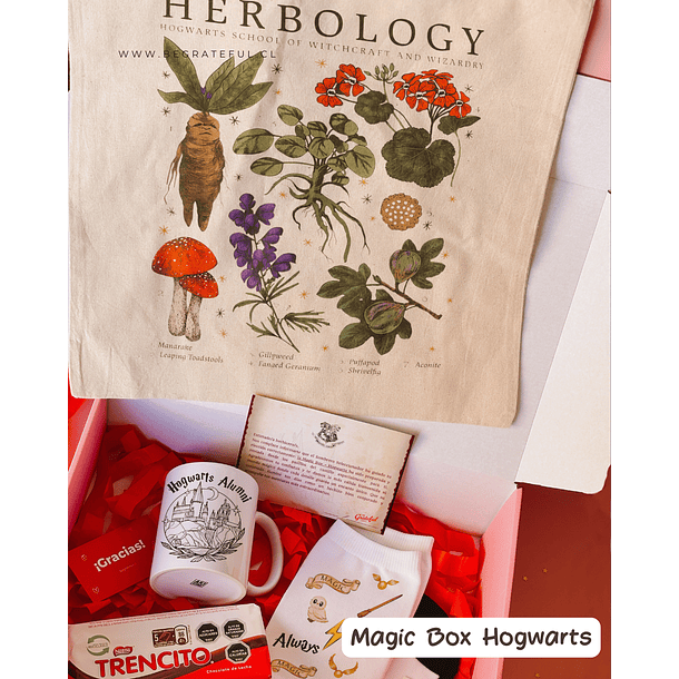 Fandom Box: Magic Box (Hogwarts) 1