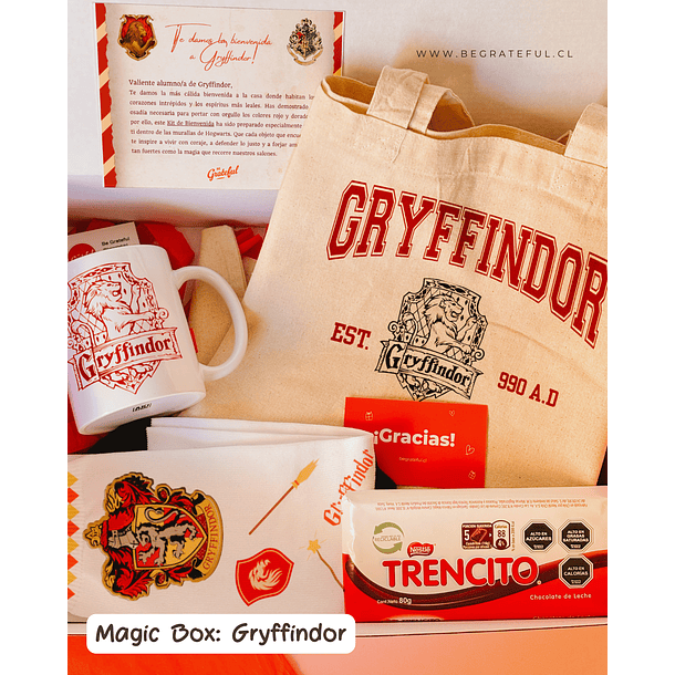 Fandom Box: Magic Box (Gryffindor) 1