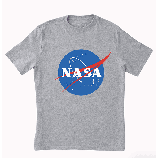 Polera Nasa - GRIS